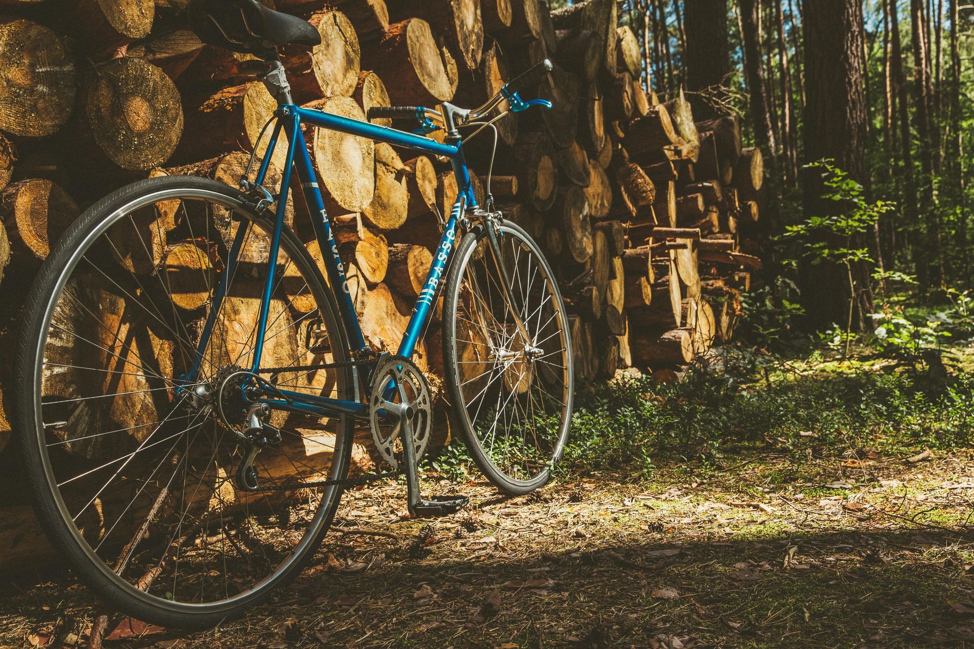 Cycling in autumn